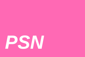 Flag of the PSN.png