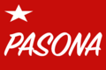 Flag of PASONA.png